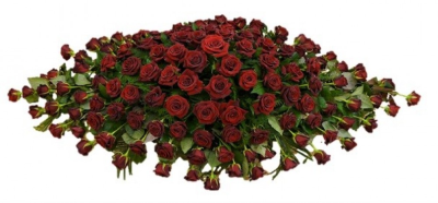 Coffin Spray (Red Roses) - A beautiful funeral tribute made with red roses and choice foliage. Alternative colours of rose available 3ft £225 / 4ft £275 / 5ft £325 This type of funeral arrangement needs 2 working dayss notice to deliver. It may be not possible to make and deliver this item like this same day. Our experienced Birmingham florists create this Coffin Spray (Red Roses) with a respectful finish suitable for a funeral, commemoration or celebration of life. Every section is constructed with attention to sy...