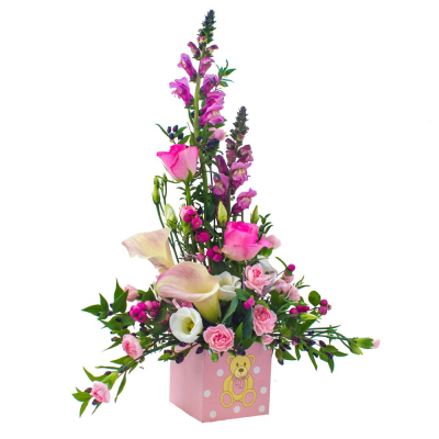 Baby Girl Arrangement - Theres a new baby girl and you wish to celebrate the occasion! An arrangement in oasis in a pink ceramic container in pinks and creams.   Whether you are celebrating a birthday, anniversary, the arrival of a new baby, or perhaps you would like to help a sick friend feel better, flowers are always an excellent choice! Available for UK same day delivery if ordered by 2pm  Please note that due to the seasonal availability of flowers it may be necessary to vary individual stems from those sho...