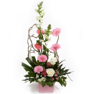 It's a Girl - At Buttercups and Daisies we are delighted to present this product available for flower delivery in Birmingham and surrounding areas This Its a Girl is arranged by Buttercups & Daisies Florist Birmingham for birthdays, anniversaries, celebrations and caring messages. Careful conditioning, placement and wrapping help the flowers arrive looking fresh, coordinated and ready to enjoy. Flower varieties and foliage depend on seasonal supply; suitable substitutions may therefore be used while prese...