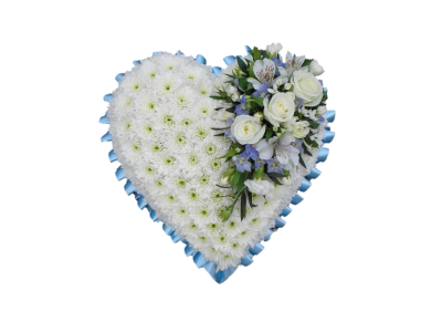 Massed Heart with Rose Spray - A beautiful heart funeral tribute. With blue ribbon and white chrysanthemum base and a white rose spray Designed and made by Buttercups & Daisies Florist Birmingham, this Massed Heart with Rose Spray offers families a personal way to express remembrance through flowers. The design is assembled patiently, with suitable blooms and foliage positioned to maintain a clear form and balanced character. Flower varieties and foliage depend on seasonal supply; suitable substitutions may therefore be u...