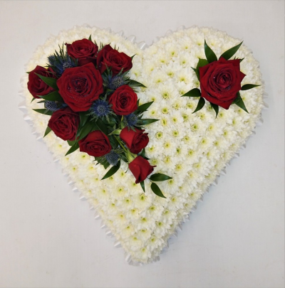 Classic White Heart with Red Roses - A classic heart-shaped design covered with a mass of white double spray chrysanthemums and finished with a spray of red large headed roses eryngium and ruscus. Standard:approx 33cm, Deluxe 38cm Luxury 50cm(size shown is luxury) Handcrafted by Buttercups & Daisies Florist Birmingham, this Classic White Heart with Red Roses is prepared as a thoughtful floral tribute for a funeral, memorial or remembrance service. Shape, scale, contrasting tones and finishing details are assessed closely to cre...
