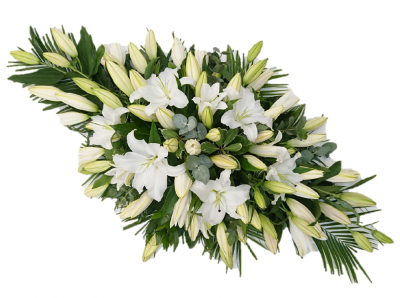 White Lily Casket spray - White Lily Casket spray Our experienced Birmingham florists create this White Lily Casket spray with a respectful finish suitable for a funeral, commemoration or celebration of life. Every section is constructed with attention to symmetry, visual depth and neat edging, helping the tribute look considered from different viewpoints. Fresh materials are selected according to quality and supply, with thoughtful alternatives used when necessary to maintain the pictured character. Families may con...