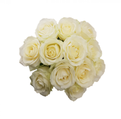 Compact Rose Bride Posy - Large white headed roses compactly tied into a bridal posy finished with satin ribbon, making it perfect for an elegant or simple wedding can be made in other colours please specify colours when ordering. This Compact Rose Bride Posy is prepared by Buttercups & Daisies Florist Birmingham for weddings, civil ceremonies and elegant celebrations. Proportion, movement, complementary shades and finishing details are balanced for an elegant appearance throughout the celebration. Seasonal availabil...