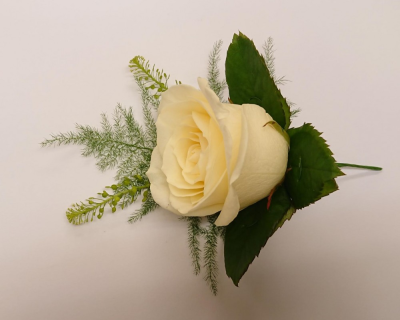 White Avalanche Rose Buttonhole - Large headed white avalanche rose buttonhole backed with asparagus fern Buttercups & Daisies Florist Birmingham creates this White Avalanche Rose Buttonhole as part of a coordinated floral look for ceremonies and receptions. The florists can discuss how colours, shapes and flower choices may work alongside other ceremony or reception arrangements. Flower varieties and foliage depend on seasonal supply; suitable substitutions may therefore be used while preserving the overall style, value and...