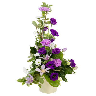 Classical Touch - This small but classical arrangement makes a lovely gift. Nothing to do but enjoy. Smiles guaranteed with every delivery! Send same day when your order is placed before 2pm. Our local Birmingham florists prepare this Classical Touch with careful colour balance, texture and presentation for a polished finish. Each design is made to order, presented neatly and prepared with the recipient and occasion in mind. Fresh materials are selected according to quality and supply, with thoughtful alterna...