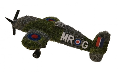 Spitfire funeral tribute - Created for the funeral of a former member of the RAF this large 3D tribute is approx 3 foot long by 2 foot wide and is created using sprayed chrysanthemums by our skilled florists at Buttercups & Daisies Florists in Birmingham This Spitfire funeral tribute is carefully handcrafted in Birmingham for a meaningful farewell, memorial gathering or funeral service. The florists consider proportion, outline, colour balance and texture so the finished design has a dignified, carefully arranged appe...