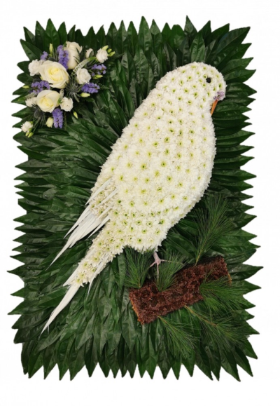 Budgie Funeral Tribute - Budgie Funeral Tribute was created on a 3ft x 2ft designer board by our skilled florists at Buttercups & Daisies Florists This was made all white for customers budgie but other colours can be made This Budgie Funeral Tribute is carefully handcrafted in Birmingham for a meaningful farewell, memorial gathering or funeral service. The florists consider proportion, outline, colour balance and texture so the finished design has a dignified, carefully arranged appearance. Because fresh flowers nat...