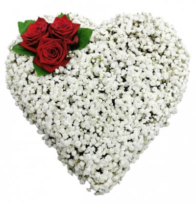 Gypsophila Heart - This heart tribute is massed in gypsophila with red roses. Rose colour can be changed and size varies.10in heart £70 13in heart £90 £15in heart £110 This Gypsophila Heart is carefully handcrafted in Birmingham for a meaningful farewell, memorial gathering or funeral service. The florists consider proportion, outline, colour balance and texture so the finished design has a dignified, carefully arranged appearance. Because fresh flowers naturally change through the year, particular varieti...