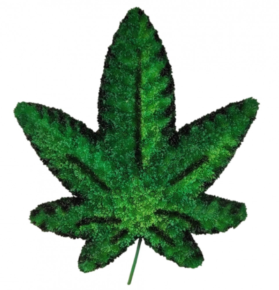 Cannabis Leaf funeral tribute - This funeral tribute in the shape of a cannabis leaf is created on a designer board using sprayed double chrysanthemums approx 25in x 25in 64x64 cm Handcrafted by Buttercups & Daisies Florist Birmingham, this Cannabis Leaf funeral tribute is prepared as a thoughtful floral tribute for a funeral, memorial or remembrance service. Shape, scale, contrasting tones and finishing details are assessed closely to create an appropriate and respectful presentation. Seasonal availability can affect indi...