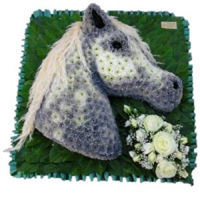 Horses Head - This Horses head funeral tribute was created using White double chrysanthemums on a 2 x 2 approx 60cm x 60cmdesigner board partly a 3d design This Horses Head is carefully handcrafted in Birmingham for a meaningful farewell, memorial gathering or funeral service. The florists consider proportion, outline, colour balance and texture so the finished design has a dignified, carefully arranged appearance. Because fresh flowers naturally change through the year, particular varieties may be substi...