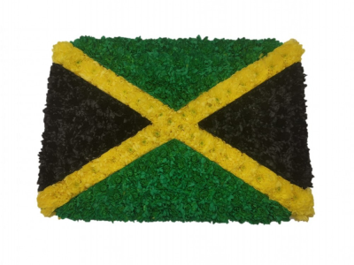 Jamaican Flag Tribute - This flag is created on a 1ft x 2ft 30cm x 60cm designer board using sprayed massed double chrysanthemums This Jamaican Flag Tribute is carefully handcrafted in Birmingham for a meaningful farewell, memorial gathering or funeral service. The florists consider proportion, outline, colour balance and texture so the finished design has a dignified, carefully arranged appearance. Because fresh flowers naturally change through the year, particular varieties may be substituted with comparable choi...