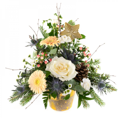 Tinsel Town - A Christmas wonderland petite arrangement in soft colours to make the holiday. Made by an experienced Birmingham florist, this Tinsel Town offers a personal alternative to a generic postal flower delivery. Complementary flowers and foliage are selected to give the arrangement attractive movement, depth and a well-finished presentation. Because fresh flowers naturally change through the year, particular varieties may be substituted with comparable choices that retain the intended palette and ...
