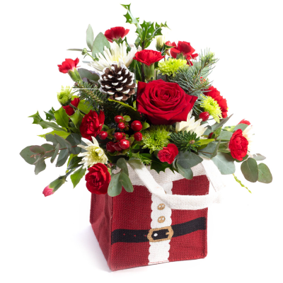 Santa Baby - A fun festive gift arranged using a selection of favourite Christmas flowers and foliage, finished in a fabulous seasonal jute bag. This Santa Baby is arranged by Buttercups & Daisies Florist Birmingham for birthdays, anniversaries, celebrations and caring messages. Careful conditioning, placement and wrapping help the flowers arrive looking fresh, coordinated and ready to enjoy. Flower varieties and foliage depend on seasonal supply; suitable substitutions may therefore be used while preser...