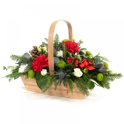 Good Tidings - This Christmas classic features a selection of seasonal flowers and foliage expertly arranged in a beautiful basket. Handcrafted by Buttercups & Daisies Florist Birmingham, this Good Tidings is created as a fresh, memorable gift for many thoughtful occasions. The florist balances shape, colour, texture and seasonal detail so the finished gift feels considered from every angle. Seasonal availability can affect individual stems, but the florist will protect the designs principal colours, propo...
