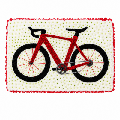 Red Bicycle Funeral Tribute - A distinctive red bicycle funeral tribute, carefully designed to celebrate someone remembered for a love of cycling, outdoor adventures or life on two wheels.