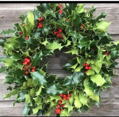 REAL HOLY WREATH - CHRISTMAS HOLY WREATHS PERFECT FOR LAYING DOWN AT THE CEMETRY AVAILABLE FROM 29/11/25 ADVISE WHAT COLOUR BOW YOU REQUIRE